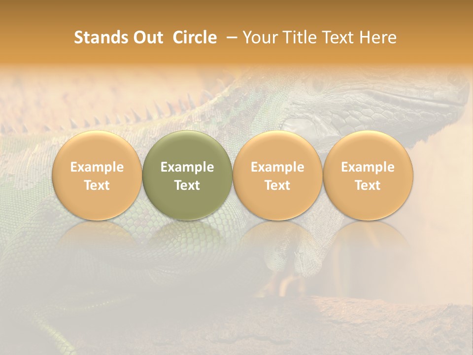 Glass Wild Wildlife PowerPoint Template