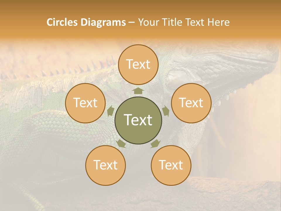 Glass Wild Wildlife PowerPoint Template