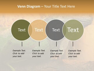 Glass Wild Wildlife PowerPoint Template