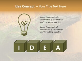 Glass Wild Wildlife PowerPoint Template