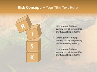 Glass Wild Wildlife PowerPoint Template