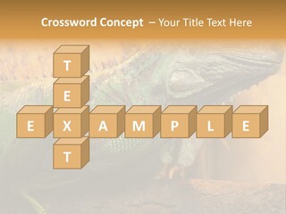 Glass Wild Wildlife PowerPoint Template