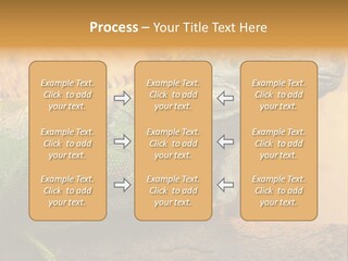 Glass Wild Wildlife PowerPoint Template