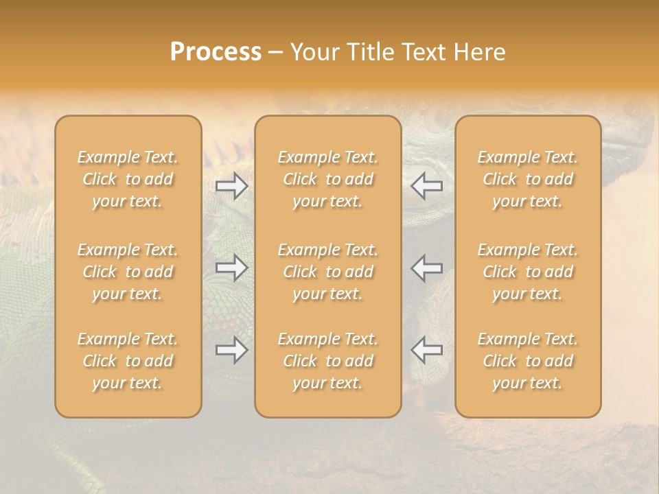 Glass Wild Wildlife PowerPoint Template