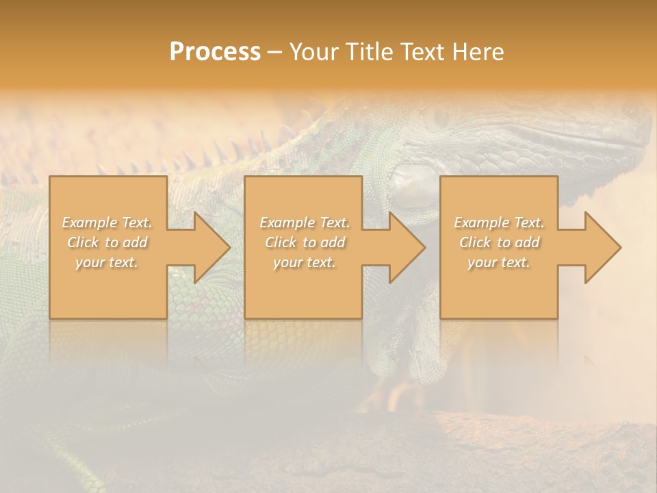 Glass Wild Wildlife PowerPoint Template