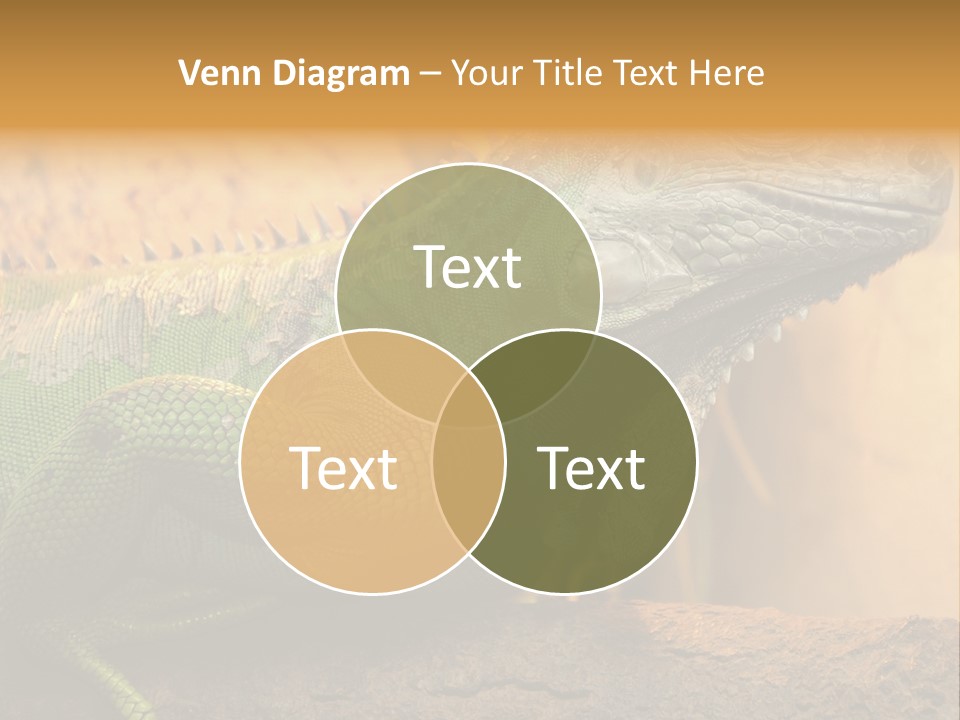 Glass Wild Wildlife PowerPoint Template