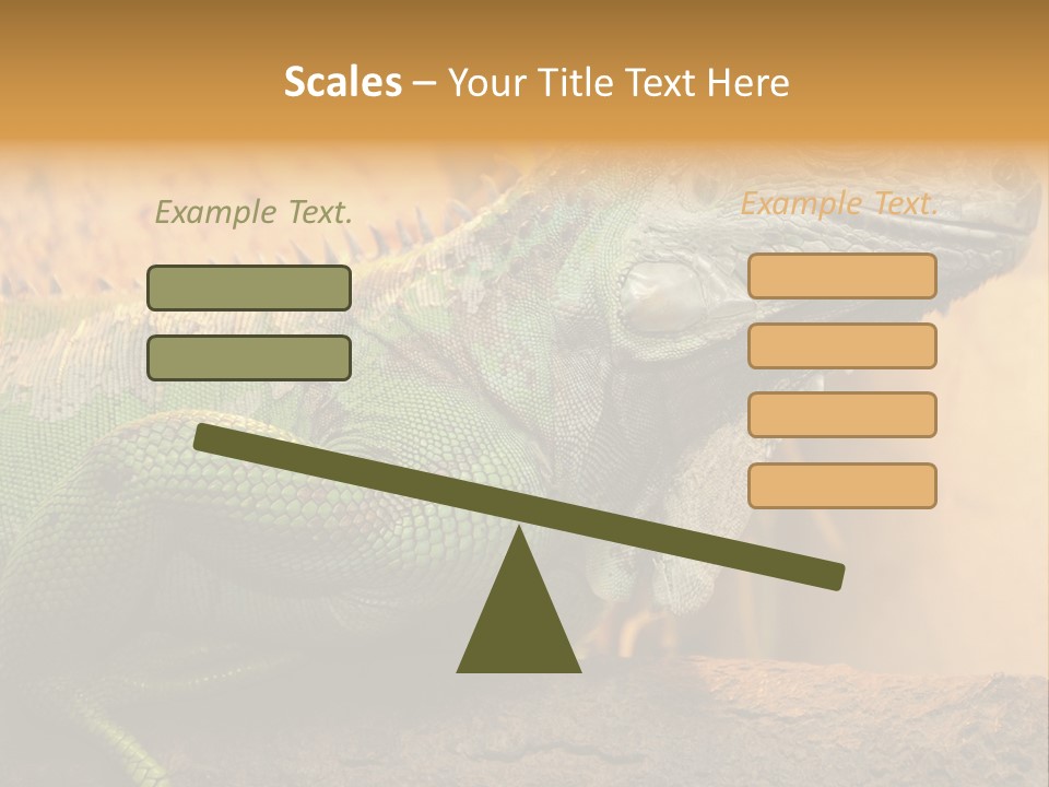 Glass Wild Wildlife PowerPoint Template