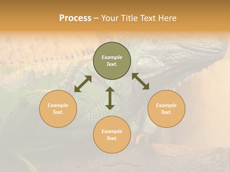 Glass Wild Wildlife PowerPoint Template