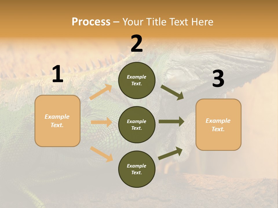 Glass Wild Wildlife PowerPoint Template