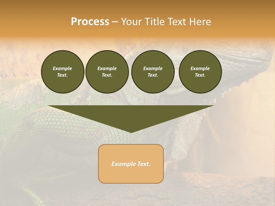 Glass Wild Wildlife PowerPoint Template