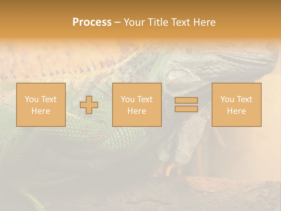 Glass Wild Wildlife PowerPoint Template