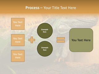 Glass Wild Wildlife PowerPoint Template