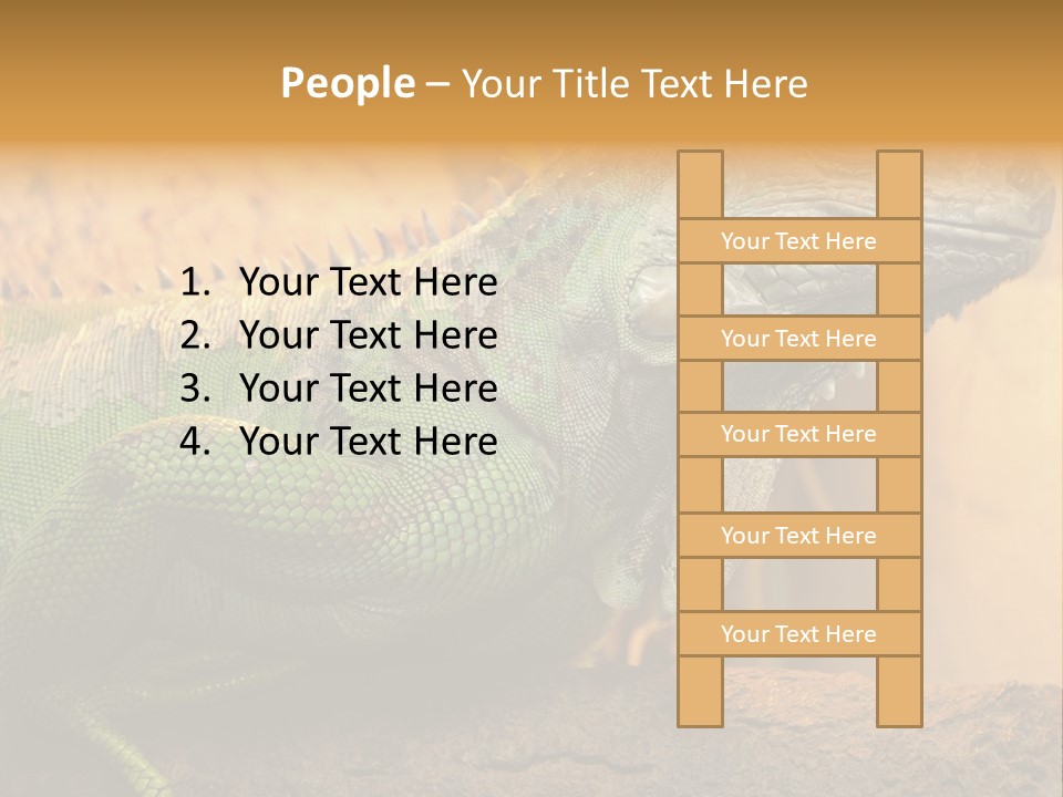 Glass Wild Wildlife PowerPoint Template