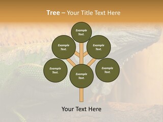 Glass Wild Wildlife PowerPoint Template