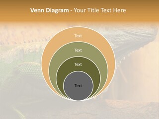 Glass Wild Wildlife PowerPoint Template