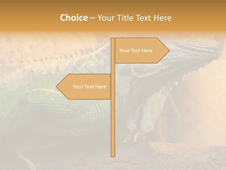 Glass Wild Wildlife PowerPoint Template