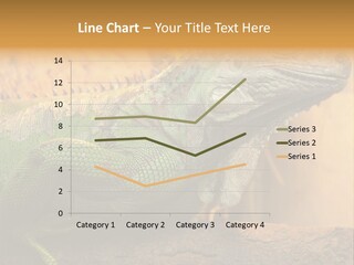 Glass Wild Wildlife PowerPoint Template