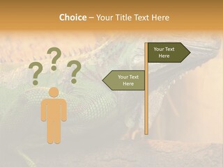 Glass Wild Wildlife PowerPoint Template