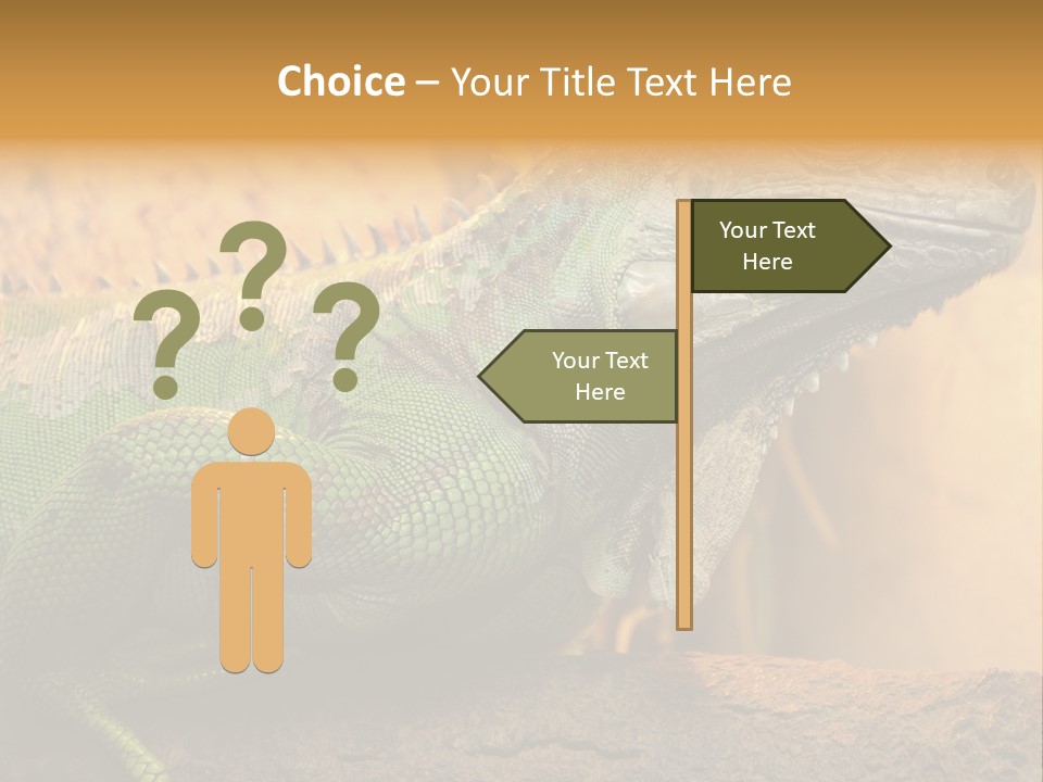 Glass Wild Wildlife PowerPoint Template