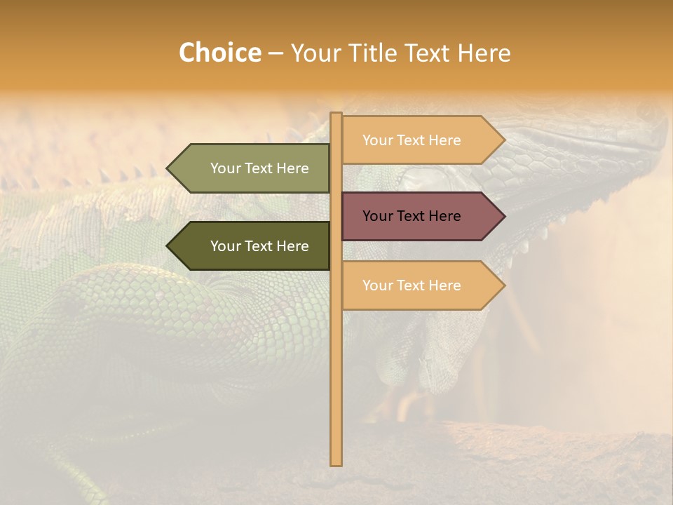 Glass Wild Wildlife PowerPoint Template