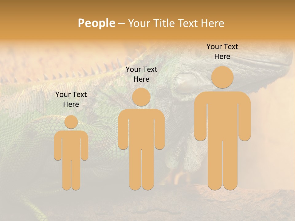 Glass Wild Wildlife PowerPoint Template