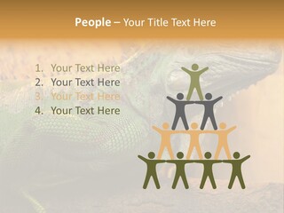 Glass Wild Wildlife PowerPoint Template