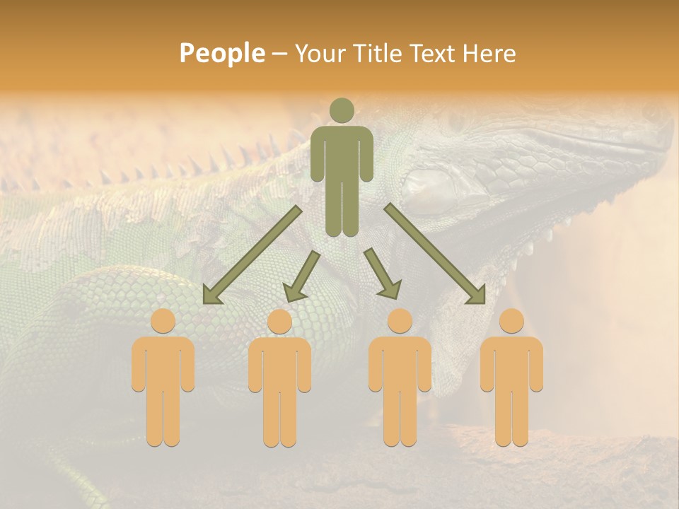 Glass Wild Wildlife PowerPoint Template