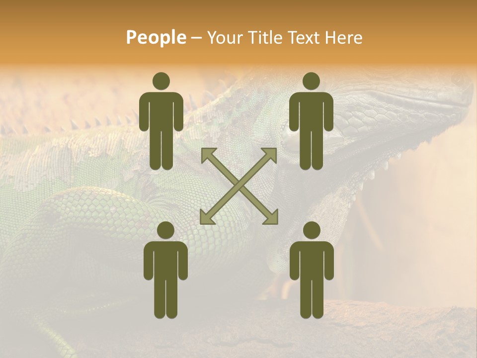 Glass Wild Wildlife PowerPoint Template