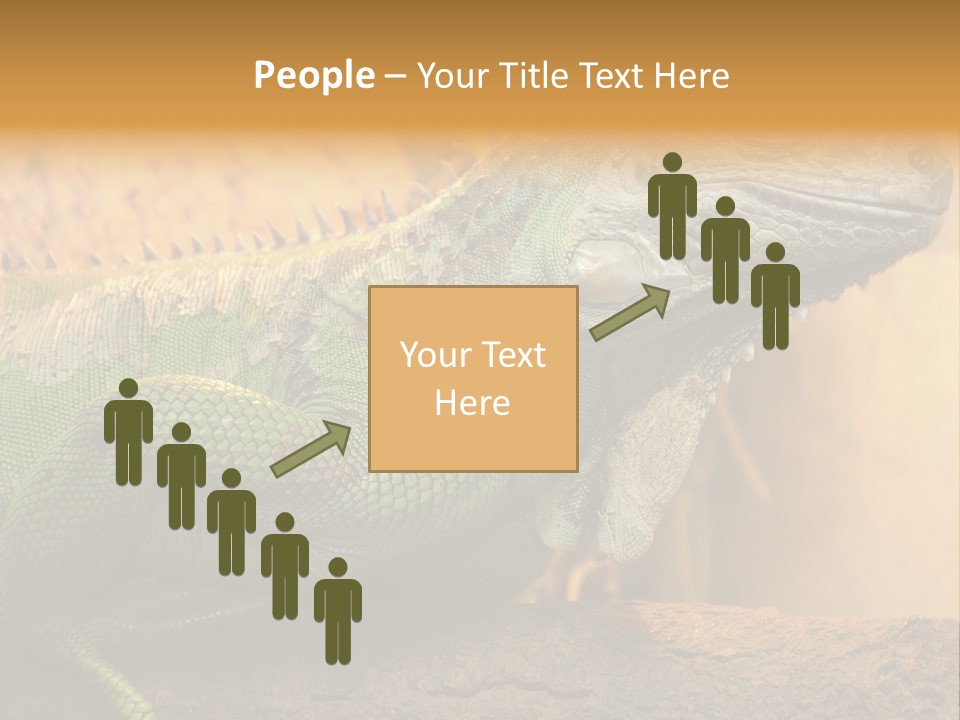 Glass Wild Wildlife PowerPoint Template