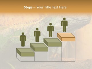 Glass Wild Wildlife PowerPoint Template