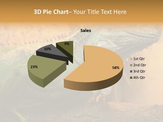 Glass Wild Wildlife PowerPoint Template