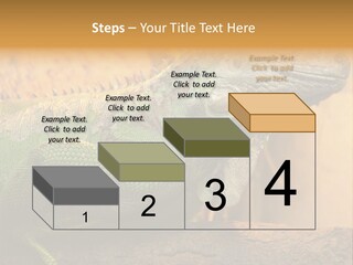 Glass Wild Wildlife PowerPoint Template