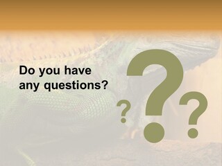 Glass Wild Wildlife PowerPoint Template