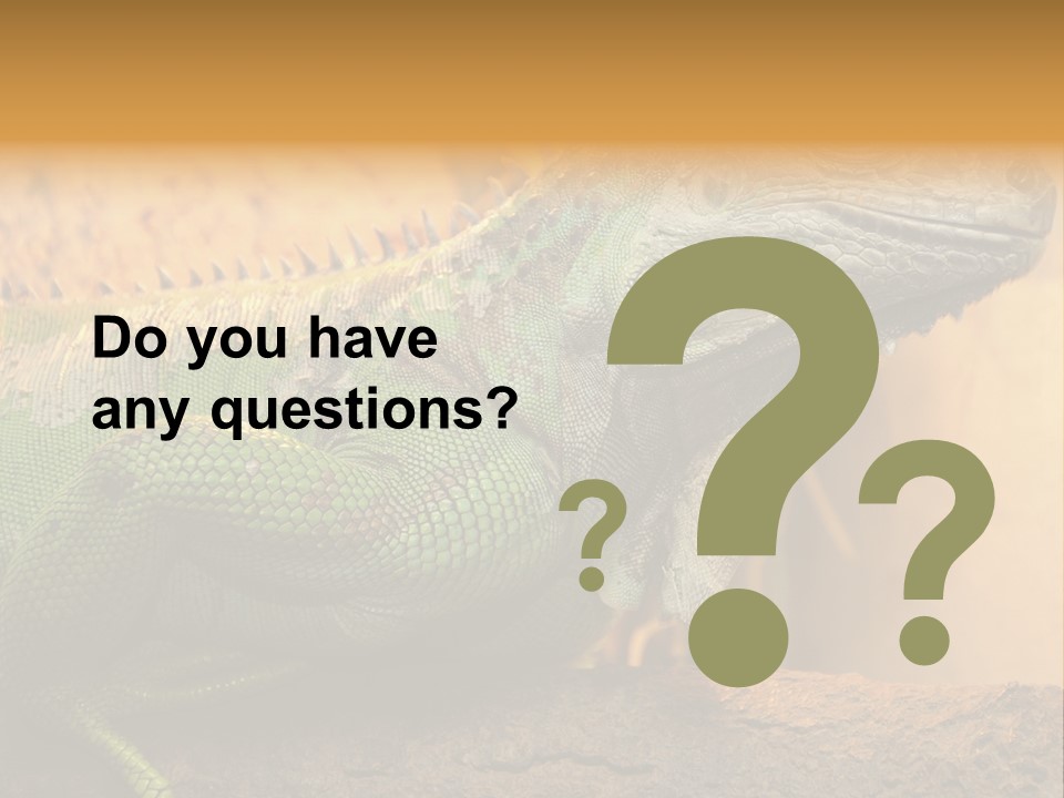 Glass Wild Wildlife PowerPoint Template