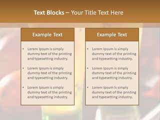 Marquise Vitamin Yellow PowerPoint Template