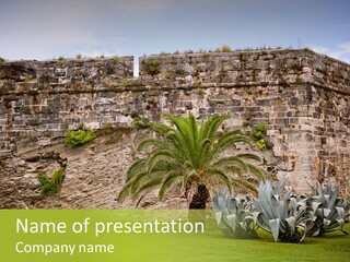 Citadel Protection Medieval PowerPoint Template