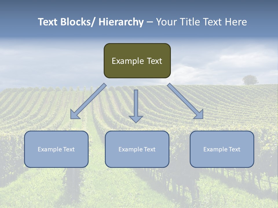 Beauty Tourism Fruit PowerPoint Template