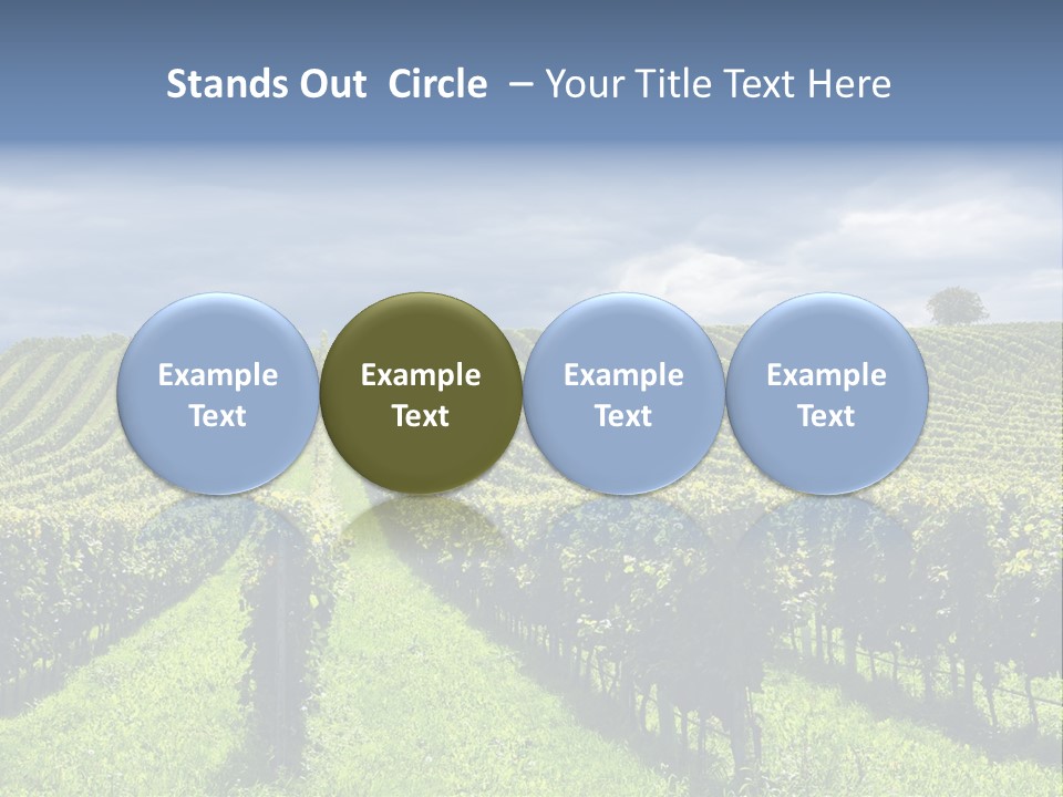 Beauty Tourism Fruit PowerPoint Template