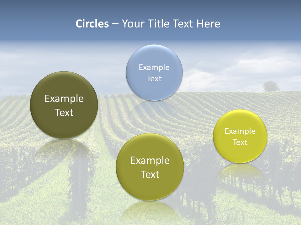 Beauty Tourism Fruit PowerPoint Template