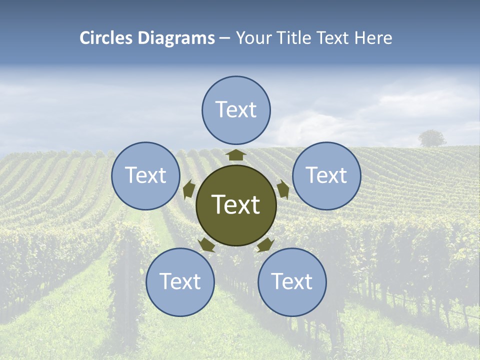 Beauty Tourism Fruit PowerPoint Template