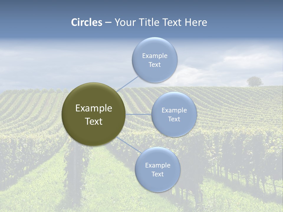 Beauty Tourism Fruit PowerPoint Template