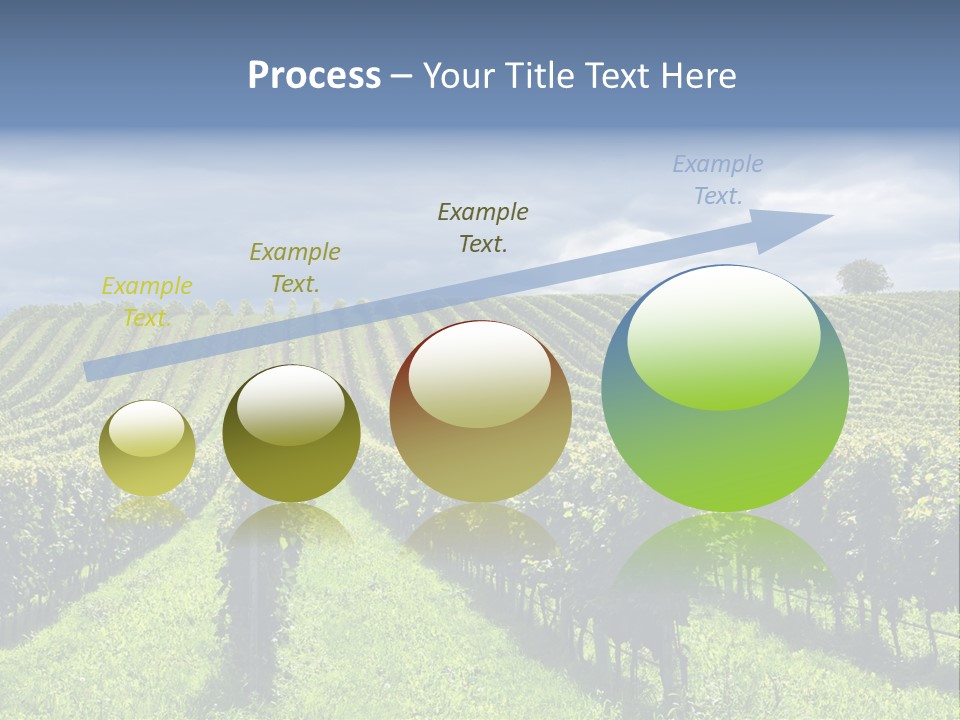 Beauty Tourism Fruit PowerPoint Template