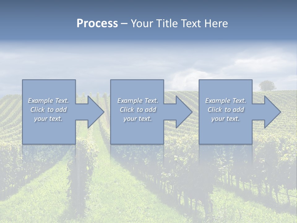 Beauty Tourism Fruit PowerPoint Template