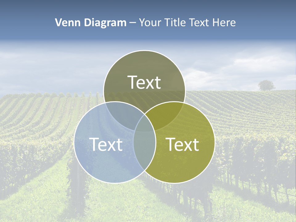 Beauty Tourism Fruit PowerPoint Template