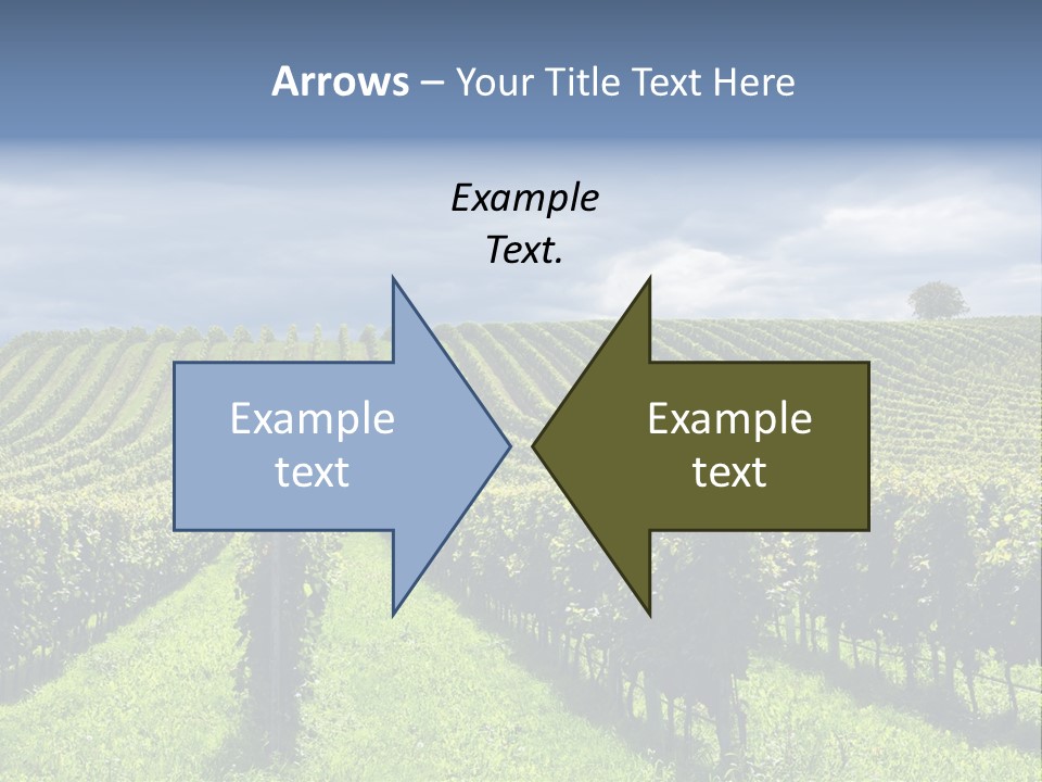 Beauty Tourism Fruit PowerPoint Template