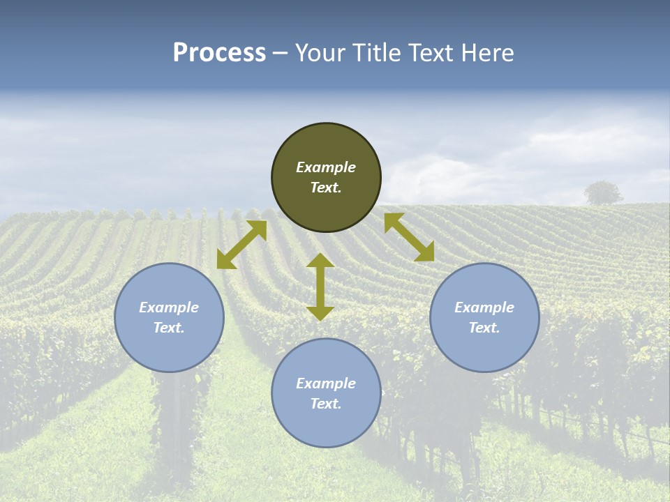 Beauty Tourism Fruit PowerPoint Template