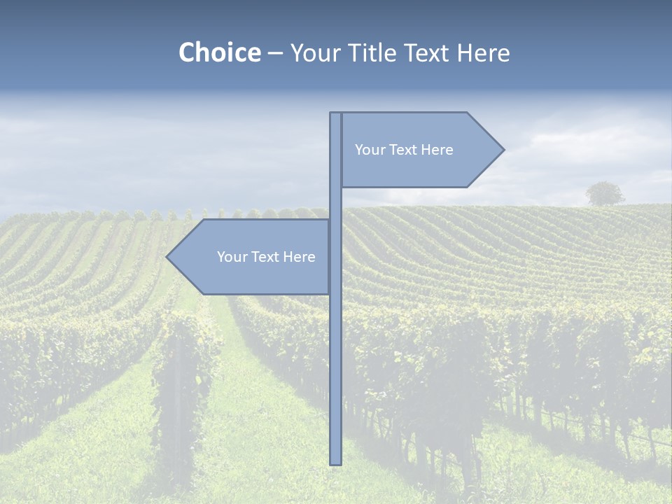 Beauty Tourism Fruit PowerPoint Template