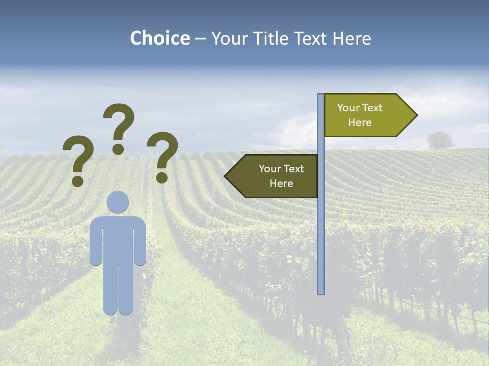 Beauty Tourism Fruit PowerPoint Template