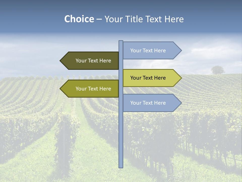 Beauty Tourism Fruit PowerPoint Template