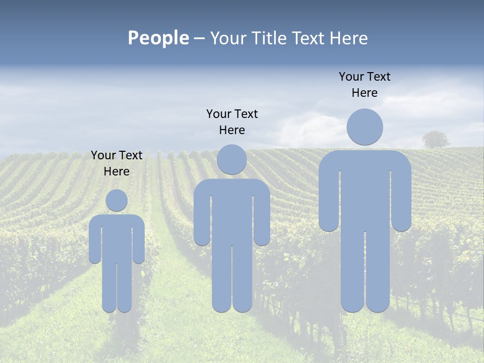 Beauty Tourism Fruit PowerPoint Template